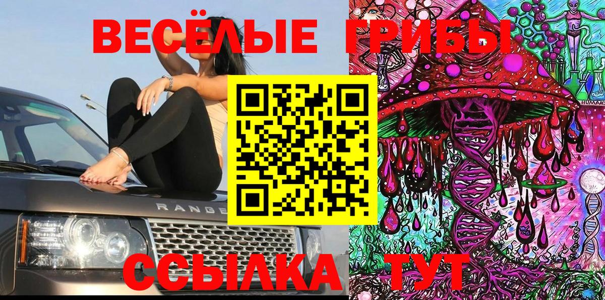 Галлюциногенные грибы Psilocybine cubensis  Вход с VPN  закладки  Нижнекамск  Псилоцибиновые грибы Magic Shrooms 